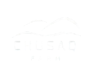 Gemini_Generated_Image_p63vwap63vwap63v-removebg-preview